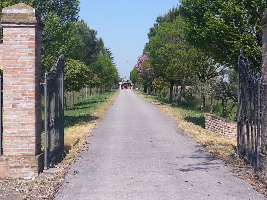 Agriturismo L'Angelina Villa Alfonsine Dış mekan fotoğraf