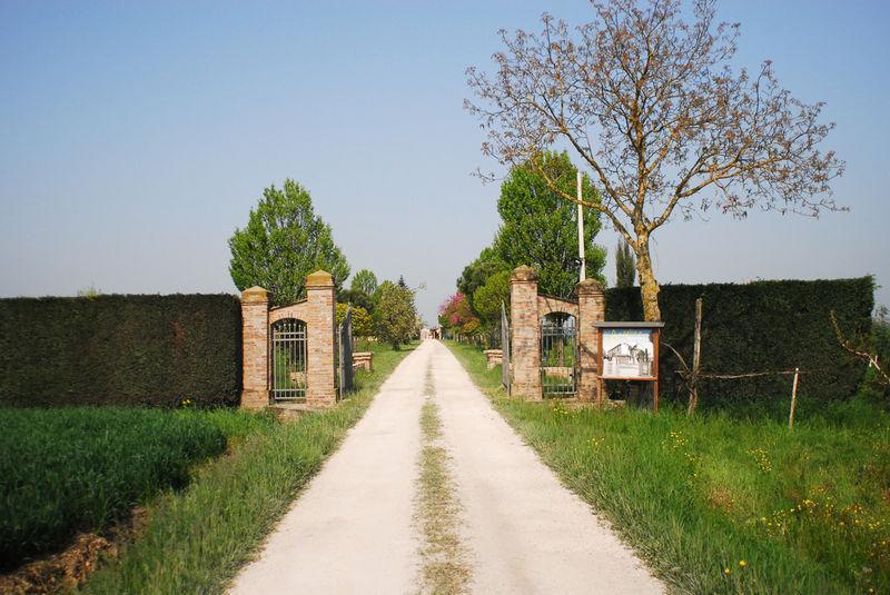 Agriturismo L'Angelina Villa Alfonsine Dış mekan fotoğraf