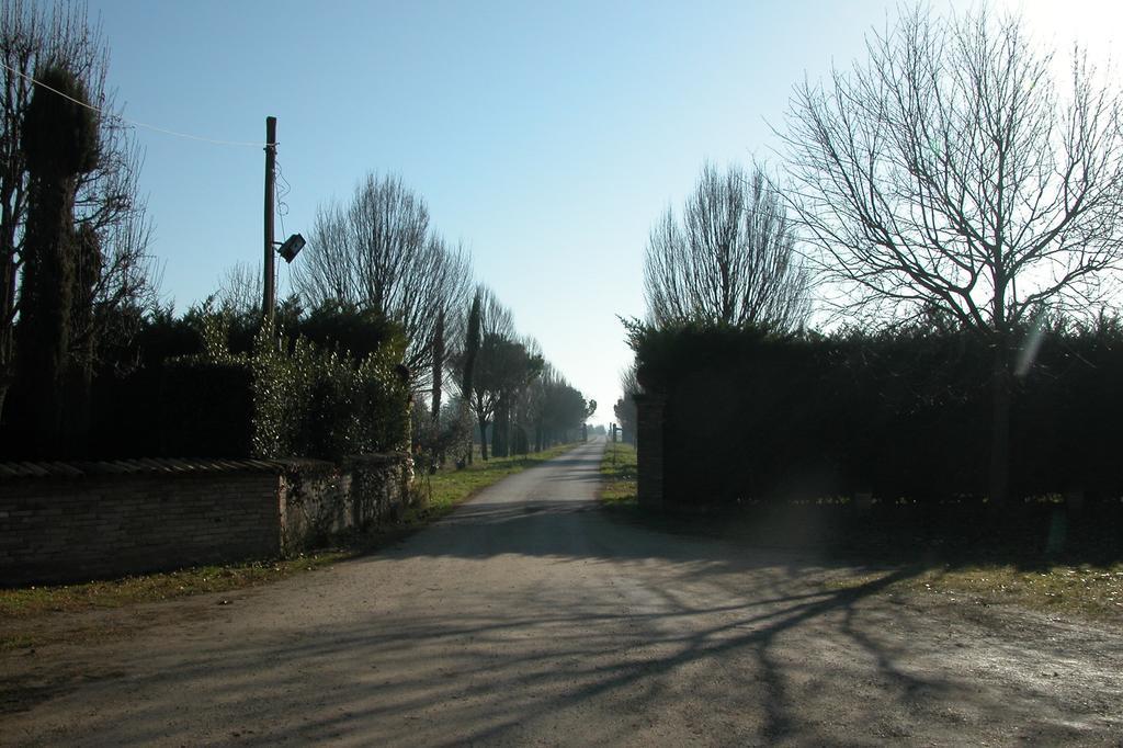 Agriturismo L'Angelina Villa Alfonsine Dış mekan fotoğraf