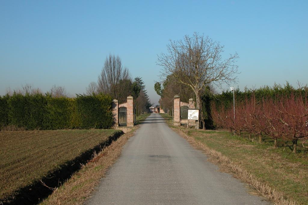 Agriturismo L'Angelina Villa Alfonsine Dış mekan fotoğraf